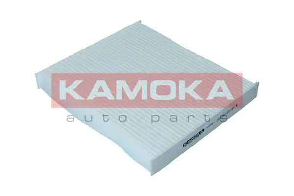 Filter, cabin air (F420001)