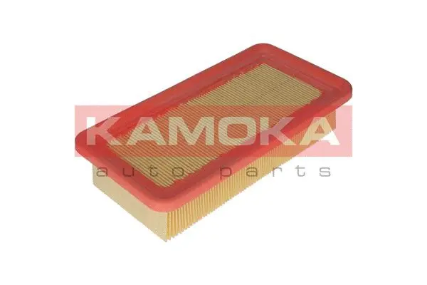 Air Filter (F226701)