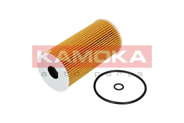 Oil Filter (F111201)