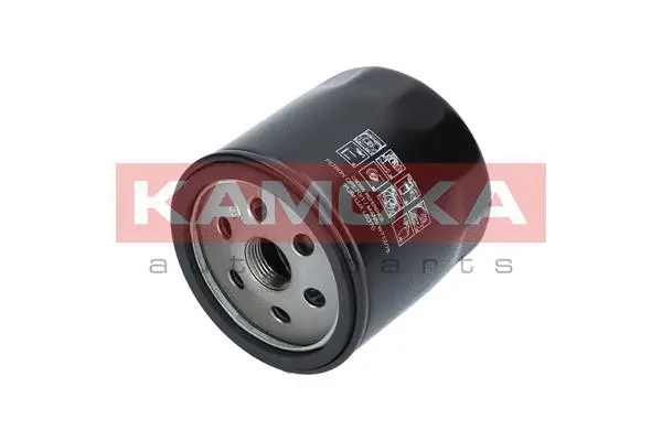 Oil Filter (F113401)
