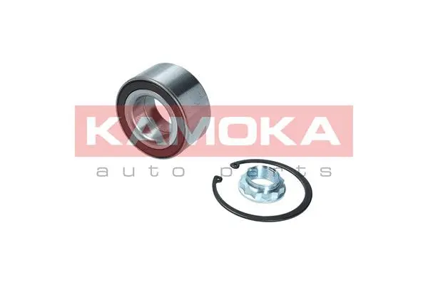 Wheel Bearing Kit (5600110)