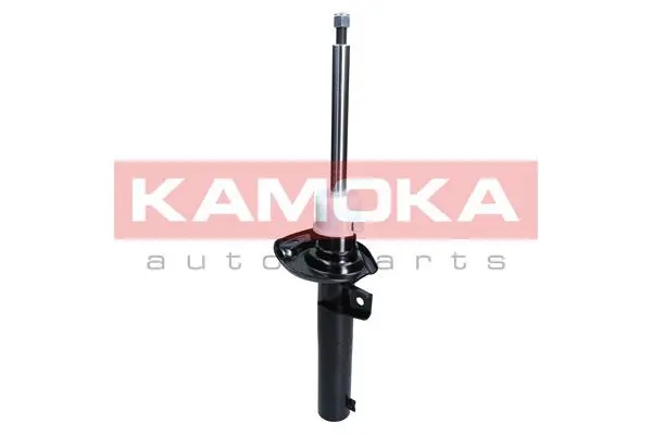 Shock Absorber (2000484)