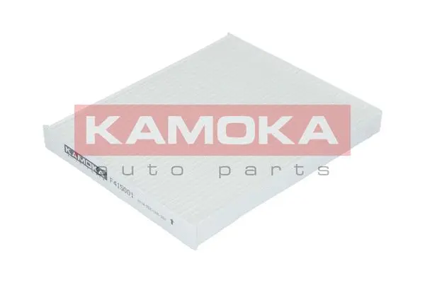 Filter, cabin air (F415001)
