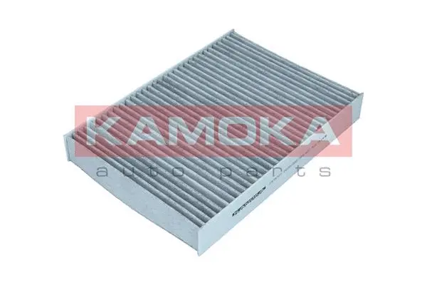 Filter, cabin air (F519701)