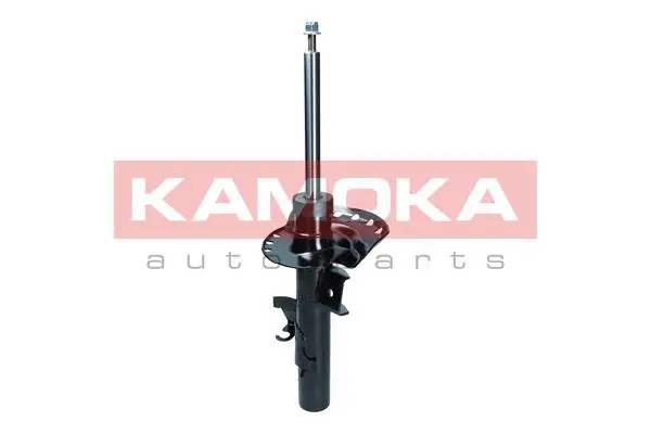 Shock Absorber (2000570)