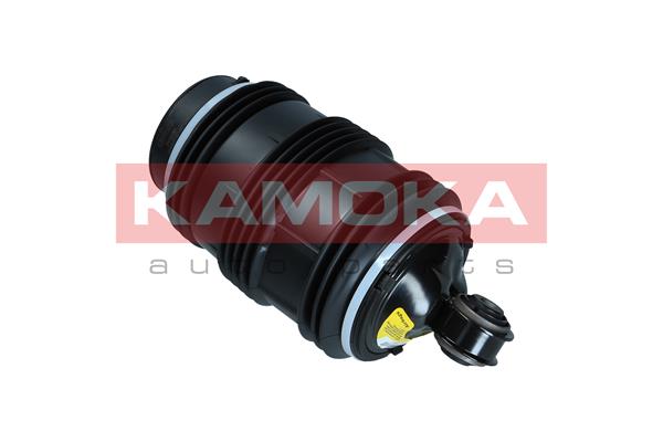 Air Spring, suspension