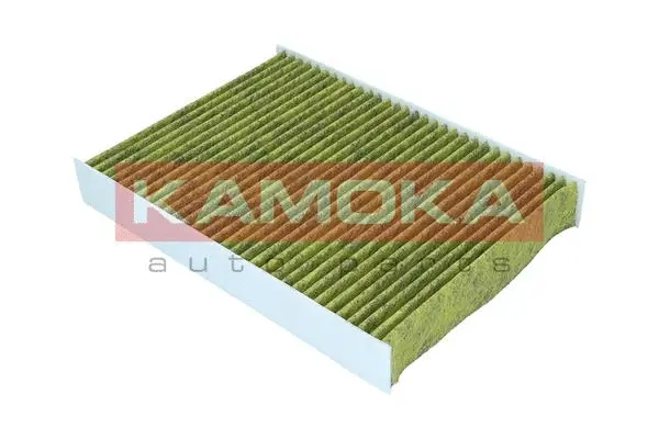 Filter, cabin air (6080165)