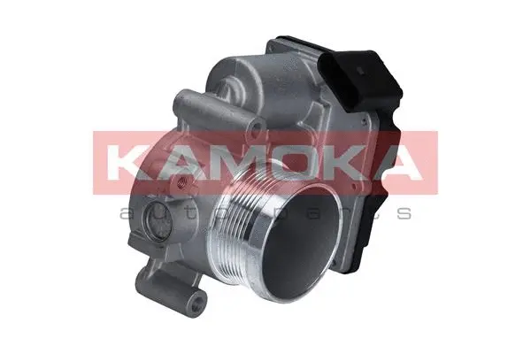 Throttle Body (112012)