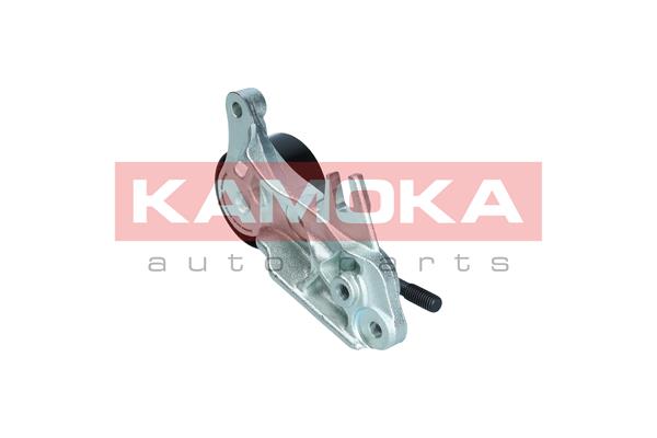 Tensioner Pulley, timing belt