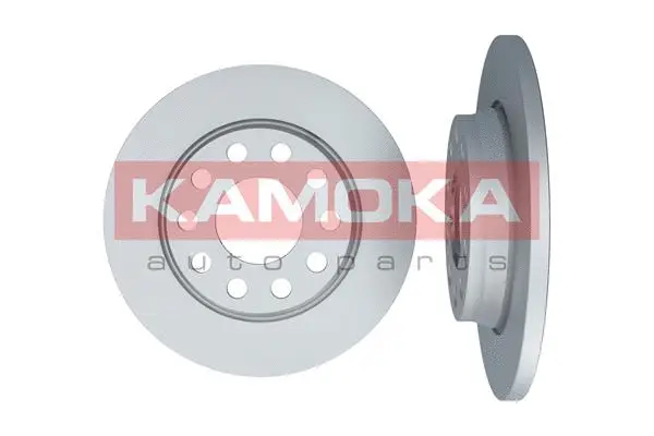 Brake Disc (1031113)
