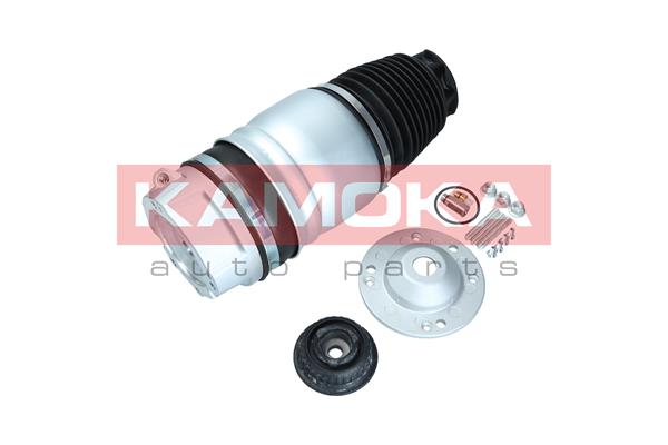 Air Spring, suspension (2079010)