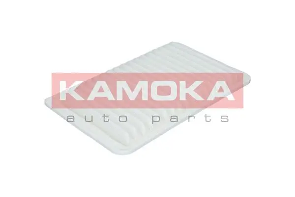 Air Filter (F211801)