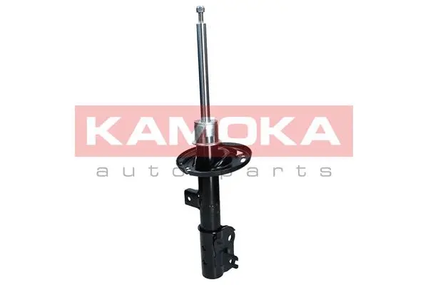 Shock Absorber (2000555)