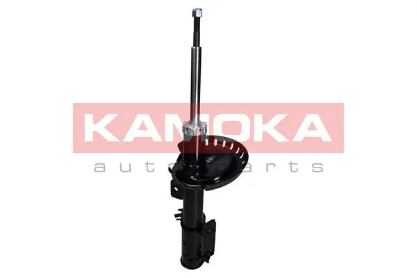 Shock Absorber (2000524)