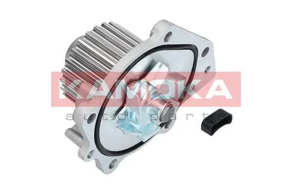 Water Pump, engine cooling (T0174)