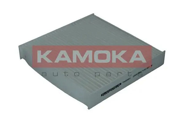 Filter, cabin air (F420601)