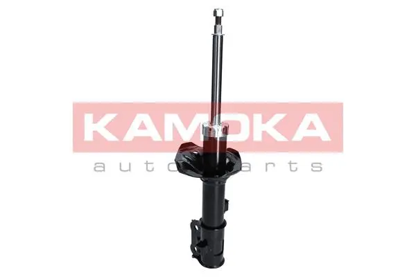 Shock Absorber (2000244)