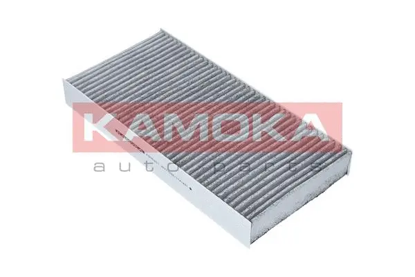 Filter, cabin air (F505201)