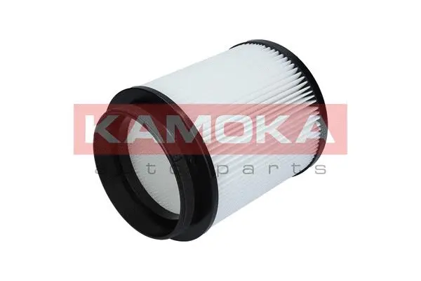 Filter, cabin air (F407401)