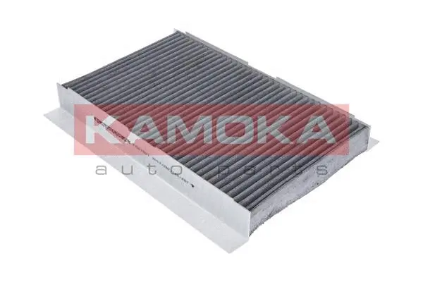 Filter, cabin air (F501801)