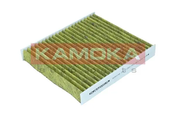 Filter, cabin air (6080146)