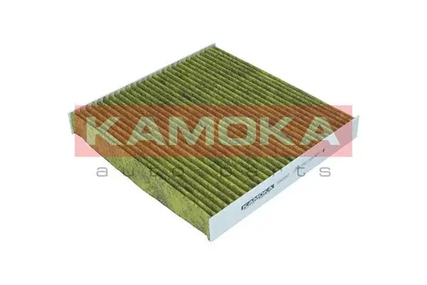 Filter, cabin air (6080087)
