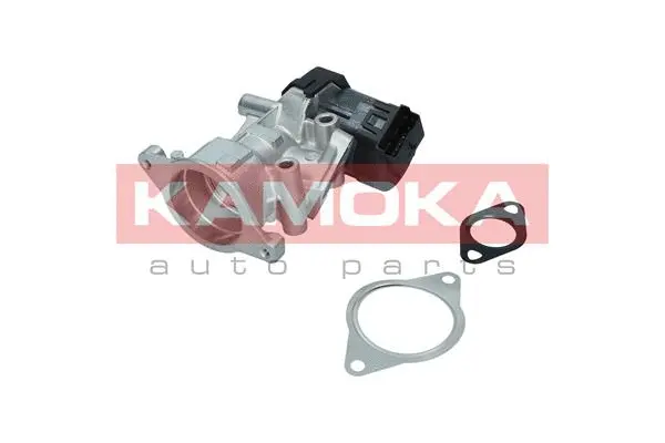 EGR Valve