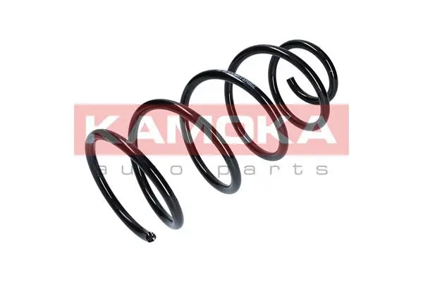 Suspension Spring (2110169)