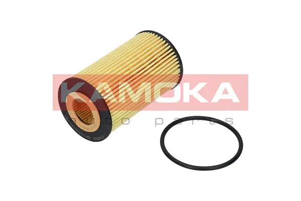Oil Filter (F106001)