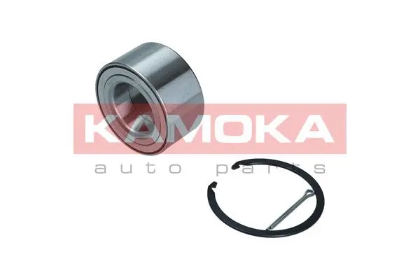 Wheel Bearing Kit (5600113)