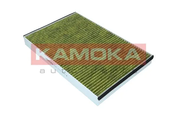 Filter, cabin air (6080063)