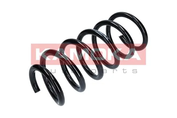 Suspension Spring (2110315)
