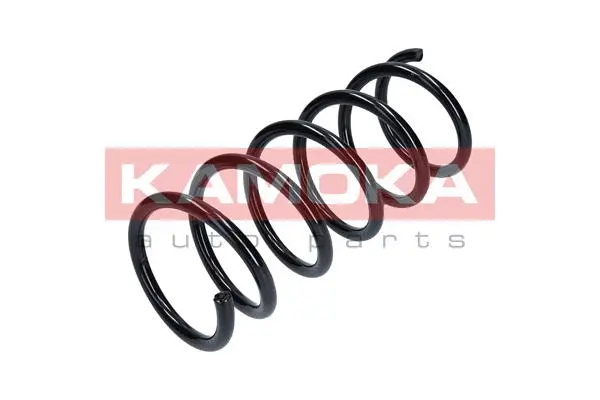 Suspension Spring (2120140)