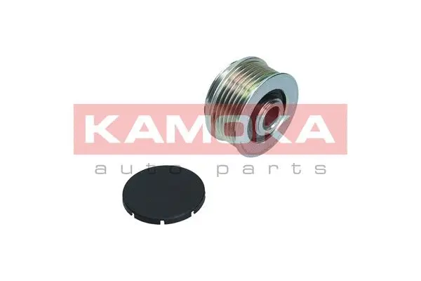 Alternator Freewheel Clutch