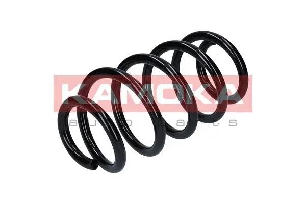 Suspension Spring (2120132)