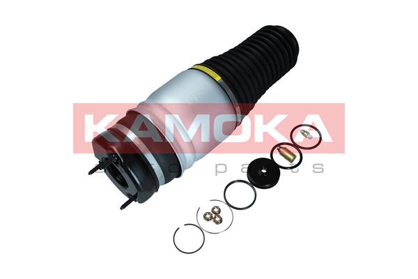 Air Spring, suspension (2079027)