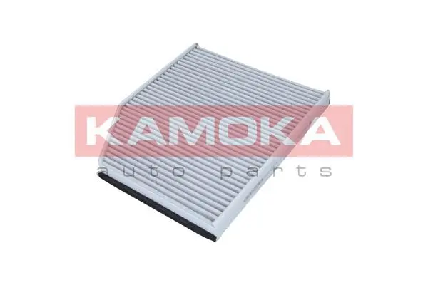 Filter, cabin air (F510501)