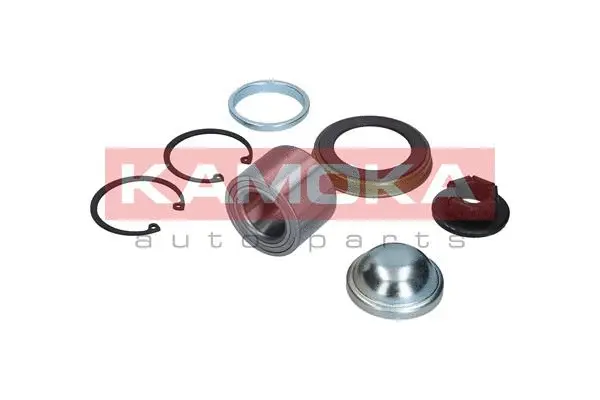Wheel Bearing Kit (5600012)