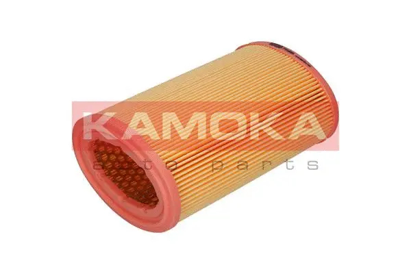 Air Filter (F213801)