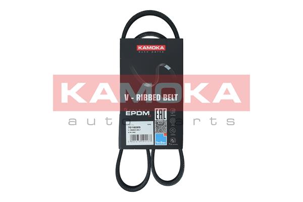 V-Ribbed Belt (7016025)