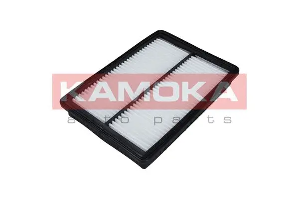 Air Filter (F238901)