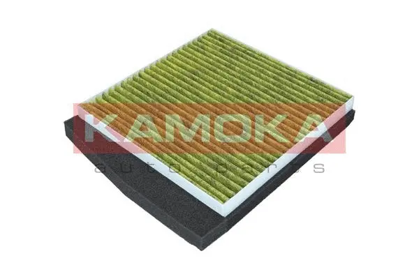 Filter, cabin air (6080089)