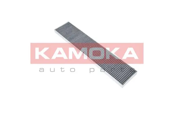 Filter, cabin air (F501101)