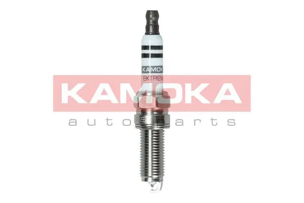 Spark Plug (7090021)