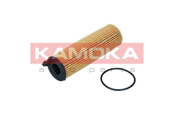 Oil Filter (F122401)