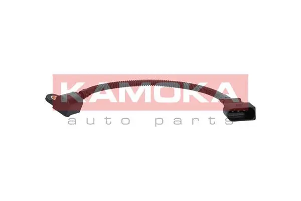 Sensor, camshaft position (108017)