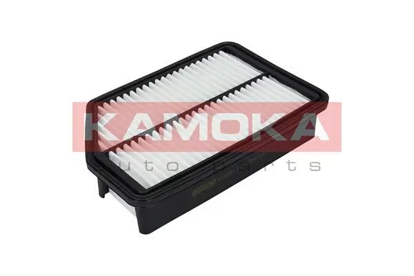 Air Filter (F226301)