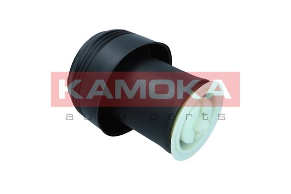 Air Spring, suspension