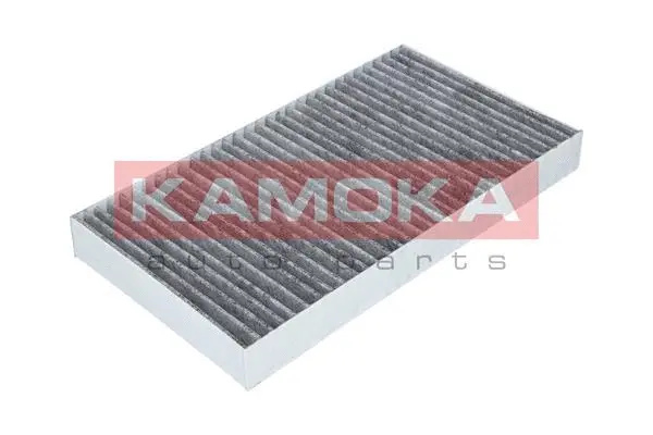 Filter, cabin air (F504801)