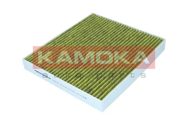 Filter, cabin air (6080138)